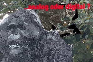 Eine Collage aus menschlichen und tierischen Elementen