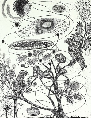 Die Abbildung zeigt eine Grafik von Hartmut Neumann, die zwei sitzende Papageien zeigt.