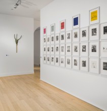 Foto: Ein Ausstellungsraum im Max Ernst Museum mit dem Collagenroman 