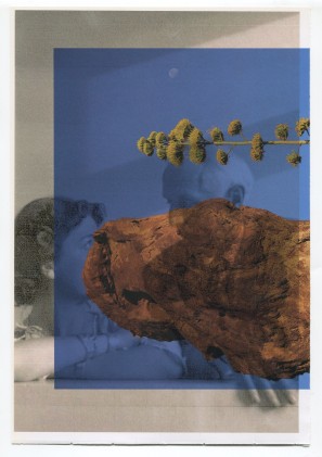 Collage of a photograph of Max Ernst and his wife, a stone, a tree and a blue rectangle
