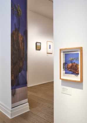 Blick in einen Museumsraum, in dem Papiercollagen sowie Arbeiten von Max Ernst hängen